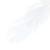 Перышко-проба2.png